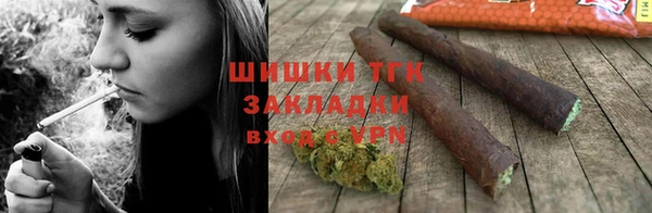 шишки Верхний Тагил