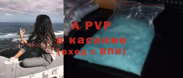 шишки Верхний Тагил