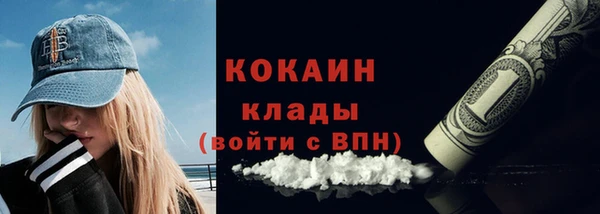 шишки Верхний Тагил