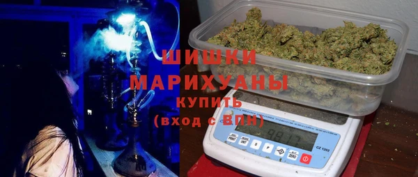 шишки Верхний Тагил