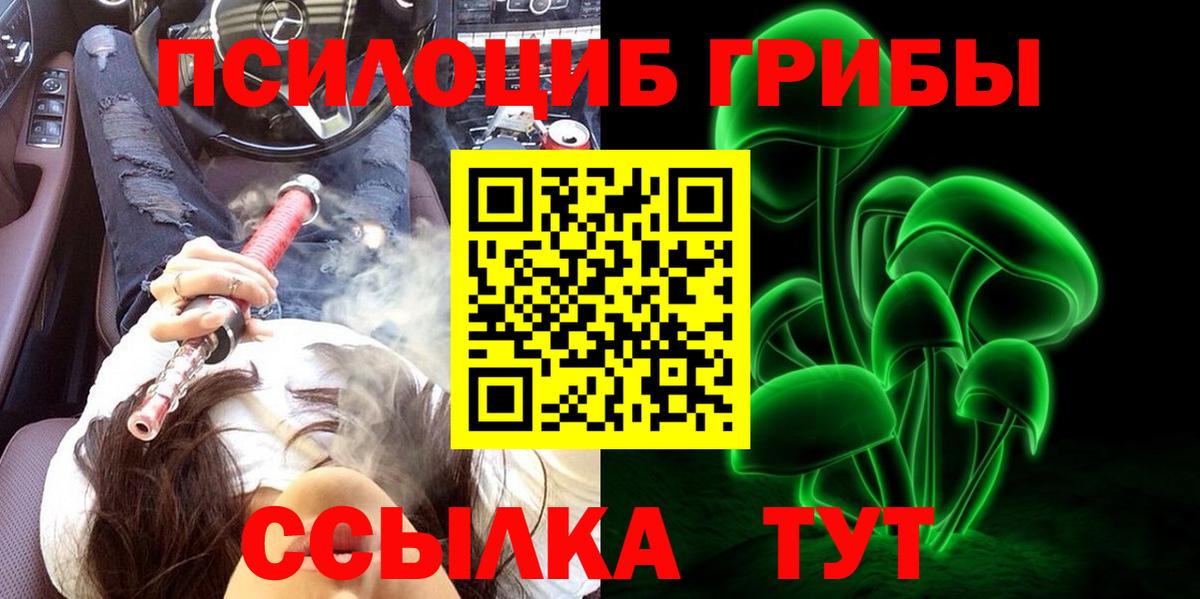 Псилоцибиновые грибы GOLDEN TEACHER Видное