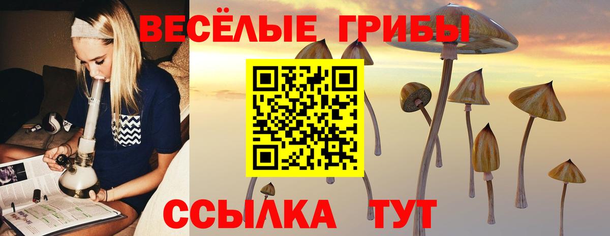 Видное  Галлюциногенные грибы мухоморы  Вход с VPN 